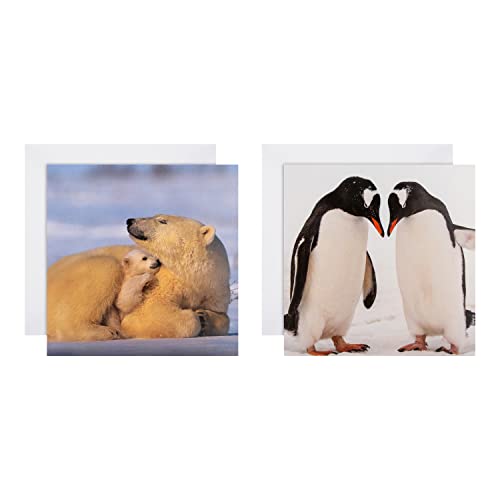 Hallmark Kartki świąteczne - opakowanie 16 w 2 National Geographic Designs