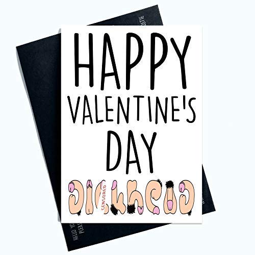 Karty Happy Valentines Day śmieszne kartki okolicznościowe dla niego profanity kartki dla niego walentynkowe dla chłopaka męża narzeczonego LGBTQ prezenty komedia PC707