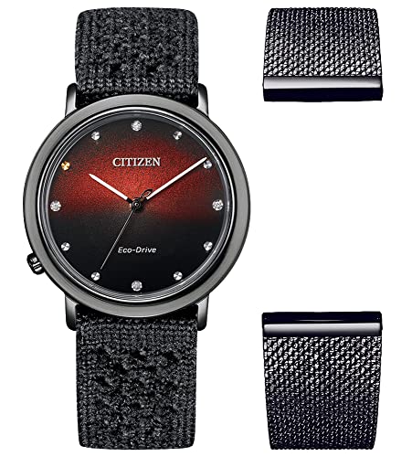 Citizen Watch EM1007-47E czarny