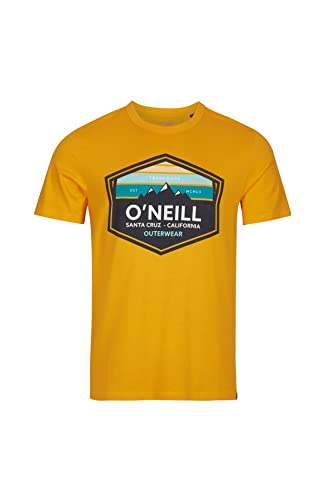 Koszulka męska O'NEILL Shortsleeve Mtn Horizon T-Shirt (zestaw 2 sztuk)