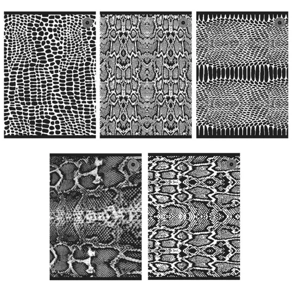Zeszyt A5/80K linia Snakes 1 (5szt) - Ziemia Obiecana