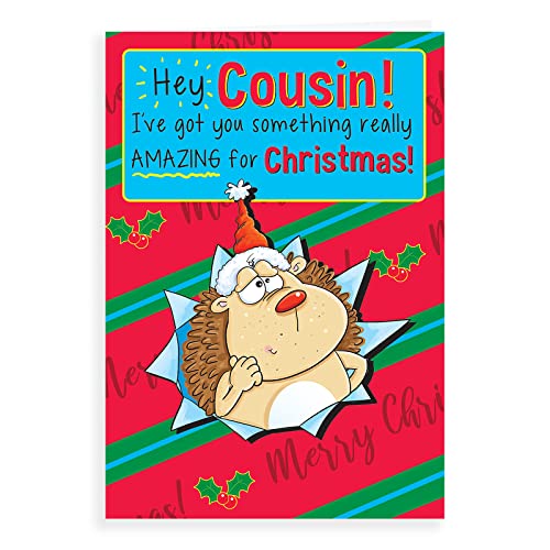 Humor kartka świąteczna kuzyn - 23 x 15 cm - Regal Publishing