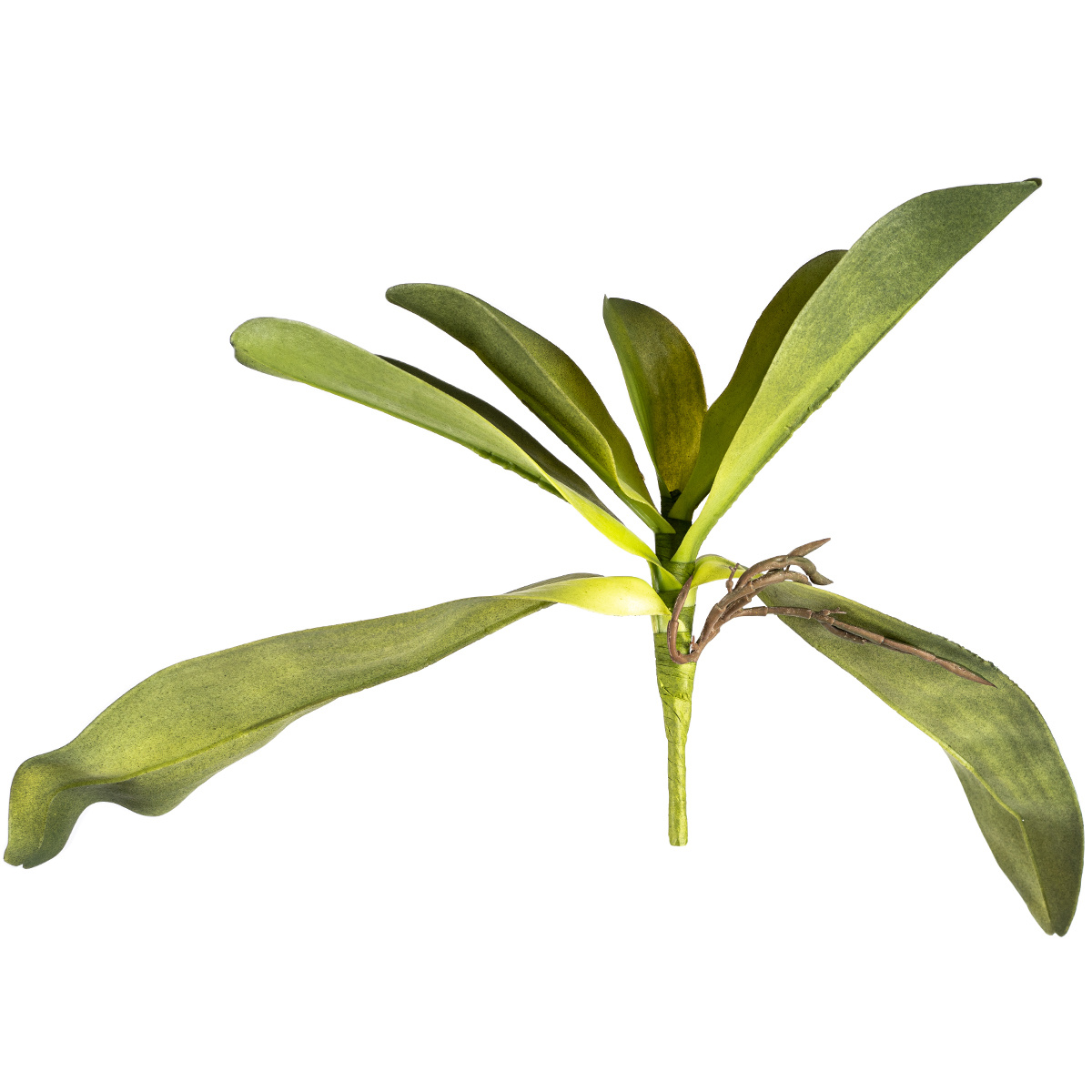 Sztuczny Liść orchidei z korzeniami, 30 cm