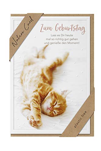 bsb Kartka urodzinowa Pozdrowienia Król urodzinowy - Natura Card - Kot - okładka z papieru typu kraft