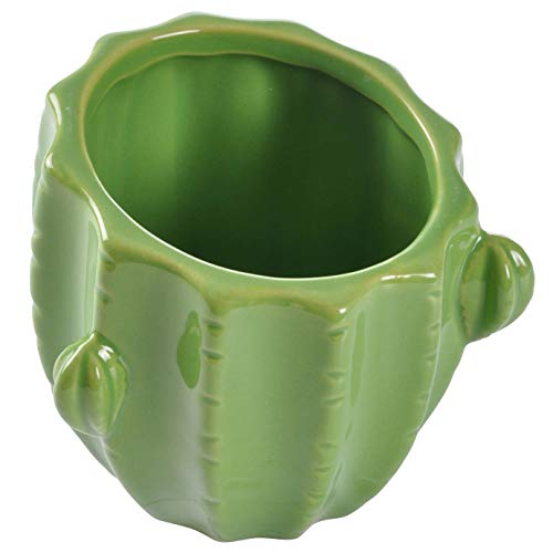 Blumfeldt ceramiczna w kształcie kaktusa 10 x 10 cm 5CAP663VC