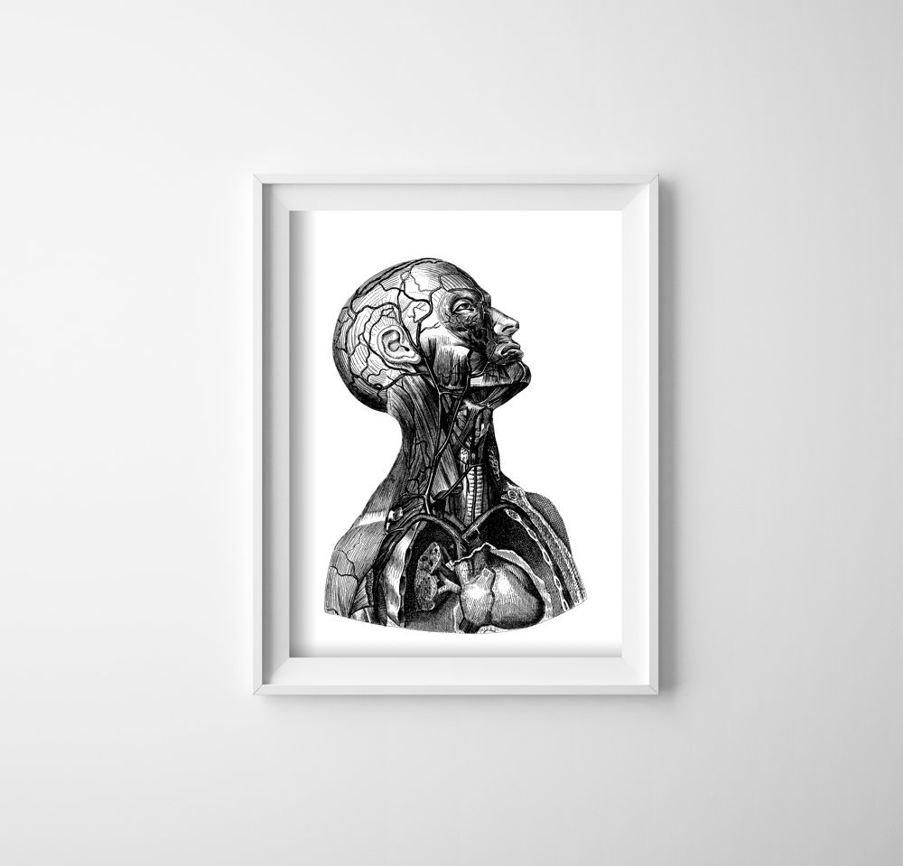Plakat vintage Szyja ciała