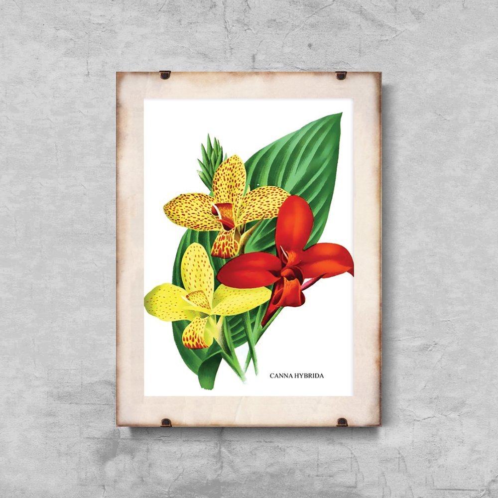 Plakat vintage Kwiaty 1957