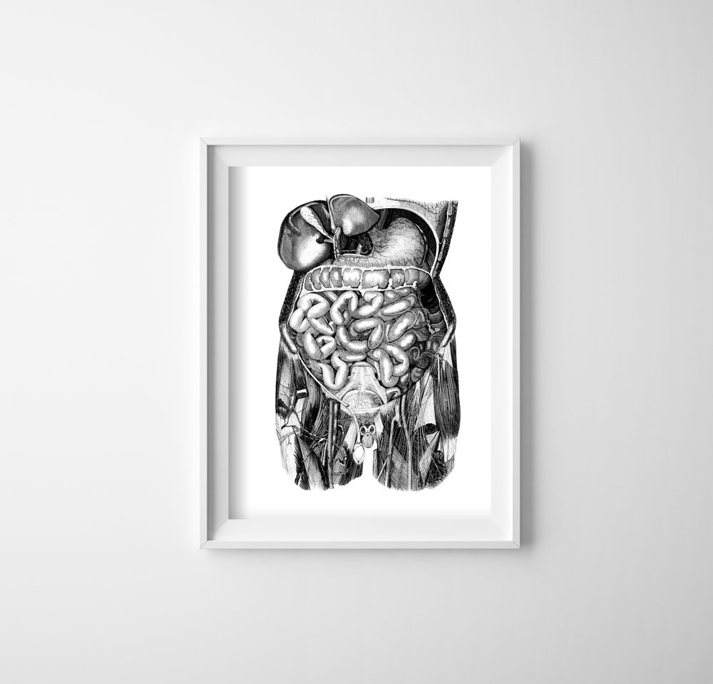 Retro plakat Anatomiczne odciski jelita