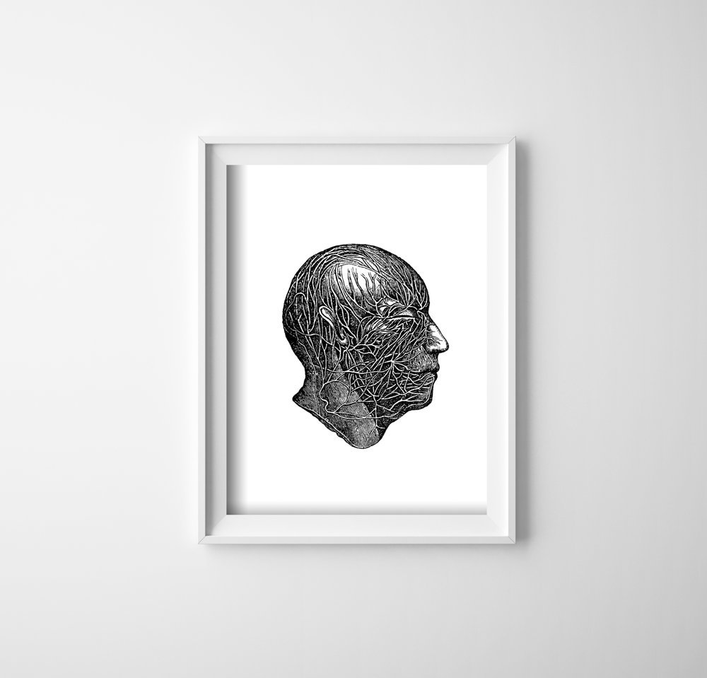 Plakat vintage Anatomiczne odciski nerwów głowy