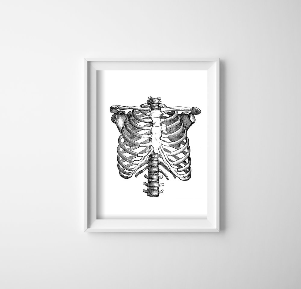 Plakat w stylu retro Anatomiczny Szkielet