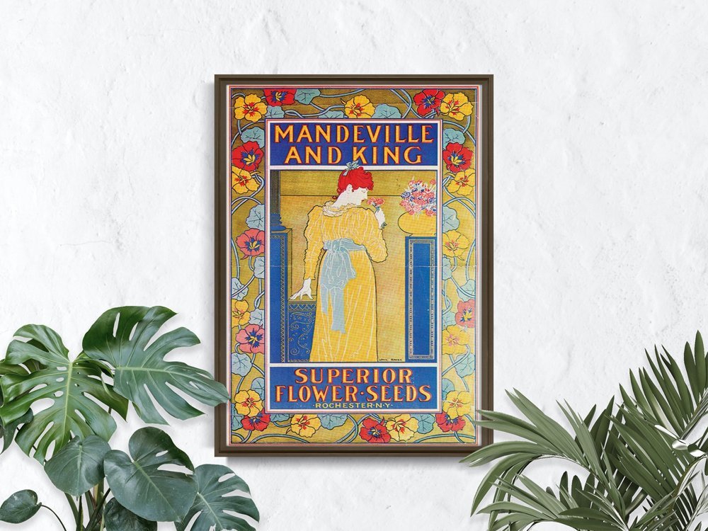 Plakat Mandeville i król Superior Nasiona kwiatów