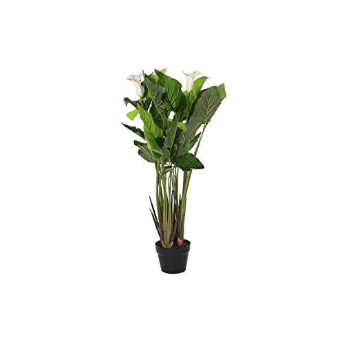 DKD Home Decor Dekoracyjna Roślina, Standardowy