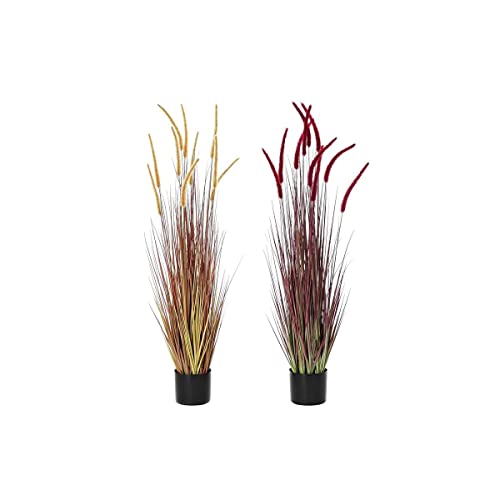 DKD Home Decor Dekoracyjna Roślina, Standardowy