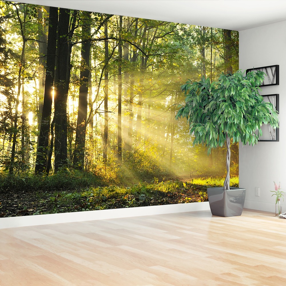 Fototapeta Las jesienią