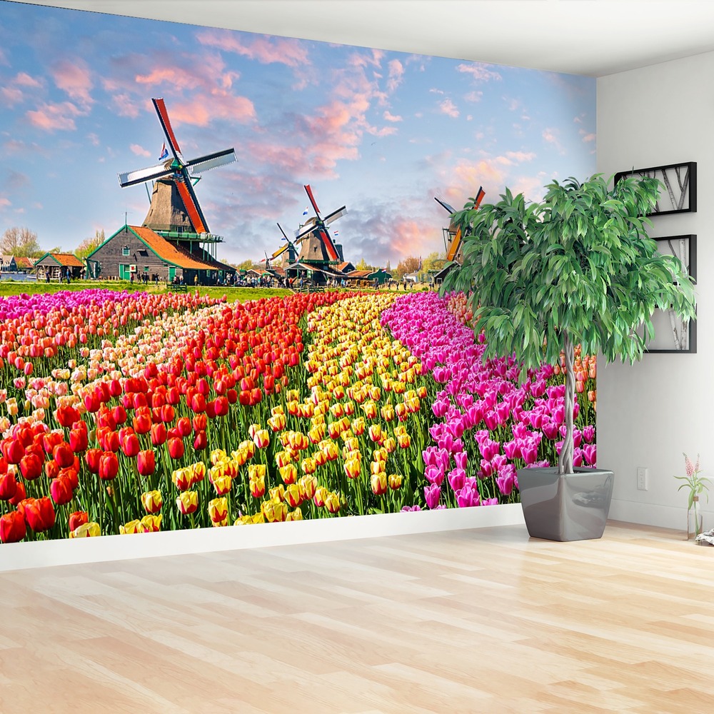 Fototapeta Tulipany Wiatraki