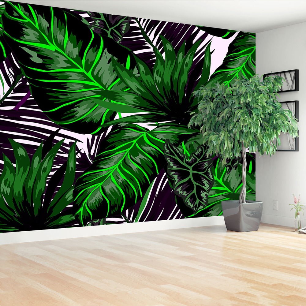 Fototapeta Liście Monstera