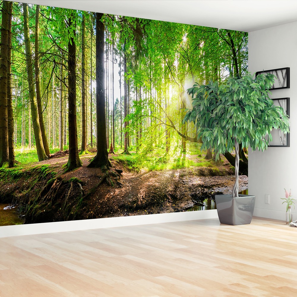 Fototapeta Las słońce