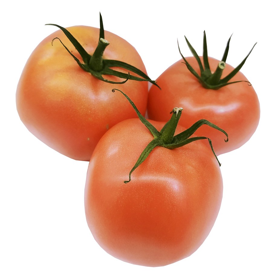 Pomidor - Malinowy luz