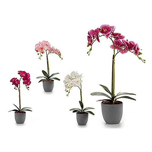 Ibergarden S3606144 Dekoracyjne Kwiaty Plastik Orchidea