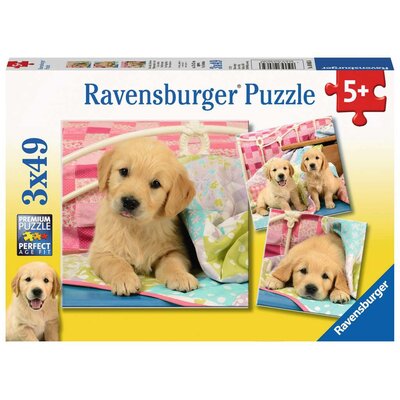 Ravensburger Puzzle 3x49 elementów Słodkie szczeniaczki