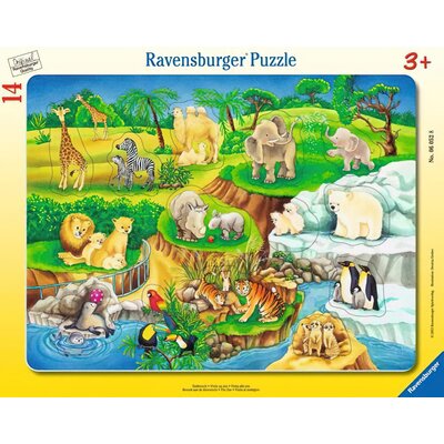 Ravensburger Wizyta w ZOO 06052