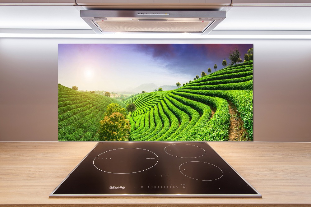 Panel do kuchni Plantacja herbaty