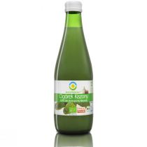 Bio Food SOK Z OGÓRKA KWASZONEGO BEZ CUKRU BIO 300ml