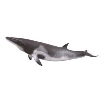 Collecta Płetwal karłowaty