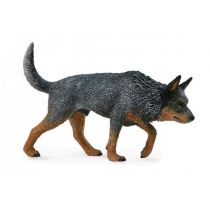 Collecta Pies rasy cattle australijski