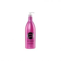 Stapiz Szampon do włosów - Acidifying Acid Balance Shampoo Szampon do włosów - Acidifying Acid Balance Shampoo