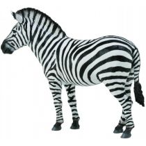 COLLECTA Zebra pospolita