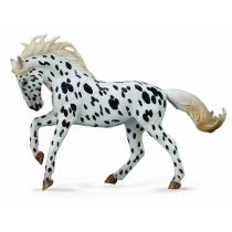 Collecta Klacz rasy knabstrup kary XL
