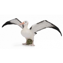 Collecta Albatros wędrowny L