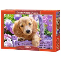Castorland  Puzzle 1000 Puppy in Basket: C-103799