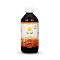 Living Food JOY DAY Bio koncentrat napoju probiotycznego Topinambur 500ml