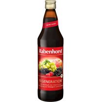 Rabenhorst SOK WIELOOWOCOWY REGENERUJĄCY BIO 750 ml -