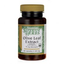 Swanson, Usa Olive Leaf Extract 500 mg - suplement diety 60 kaps.