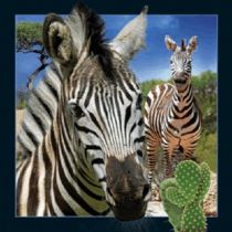 Magnes 3D Zebra WORTH-KEEPING