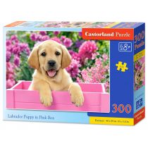 Castorland Puzzle Labrador Puppy in Pink Box 300