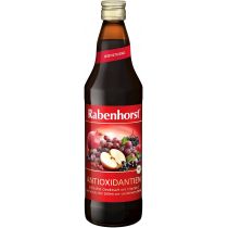 RABENHORST (soki, napoje) SOK WIELOOWOCOWY ANTYOKSYDANT BIO 750 ml - RABENHORST BP-4004191005291