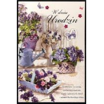 PAN DRAGON Karnet B6 Urodziny HM-200-1618