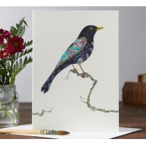 DM Collection Karnet A046 B6 + koperta Ptak kos