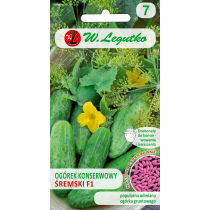 Legutko Ogórek gruntowy konserwowy - Śremski F1 Śremski F1