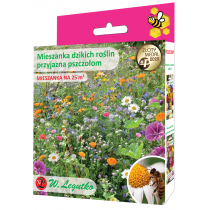 Legutko Nasiona dzikich roślin przyjaznych pszczołom 125 g / 25 m2