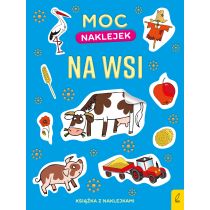 Wilga GW Foksal Moc naklejek. Na wsi