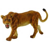 Collecta Lwica afrykańska L