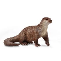 Wydra - Collecta