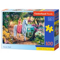 Castorland Puzzle 200 elementów. Sekretny szlak