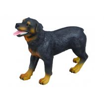 Collecta Pies rasy rottweiler.