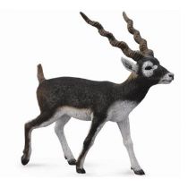 Collecta Antylopa Blackbuck L